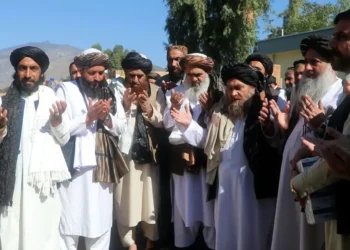 Medicines were distributed to 65 health centers in Kunar