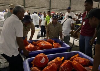 IMA ensures 500 thousand national hams for the Naviferias 2026, without imports