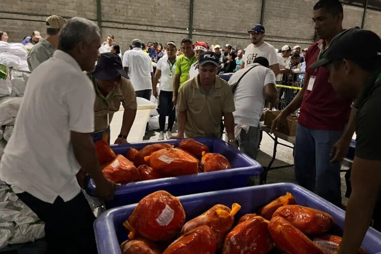 IMA ensures 500 thousand national hams for the Naviferias 2026, without imports