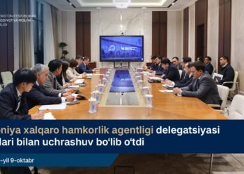 Uzbekistan, JICA discuss road projects, local production and human capital