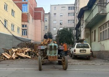 The police of Ferizaj and Shtërpce in action for the protection of questions – wood transported by three vehicles is confiscated