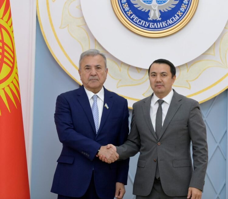 Uzbekistan, Kyrgyzstan seek closer transport and energy ties