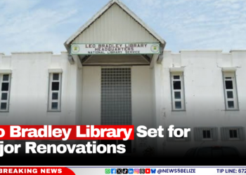 Leo Bradley Library Set for Major Renovations