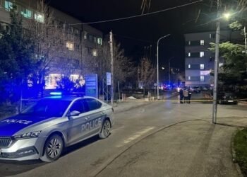 The case of Hamide Magashi | After the murder of the pregnant woman in the yard of the KKUK, the suspended policemen returned to duty
