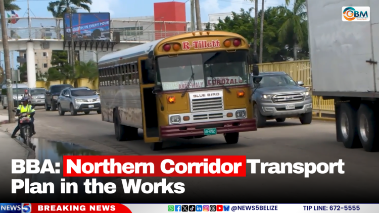 BBA: Northern Corridor Transport Plan in the Works