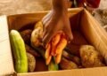 Dominica celebrates World Food Day 2026 under the theme ‘Innovate Today. Nourish Tomorrow.’