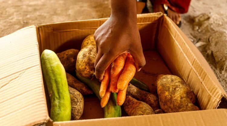 Dominica celebrates World Food Day 2026 under the theme ‘Innovate Today. Nourish Tomorrow.’