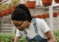 Farmer Field School launched to equip young Dominican farmers with practical skills