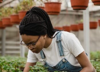 Farmer Field School launched to equip young Dominican farmers with practical skills