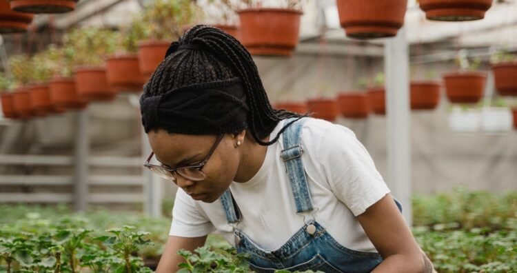 Farmer Field School launched to equip young Dominican farmers with practical skills