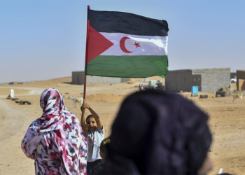 European action in the Security Council to stop the American project on Western Sahara