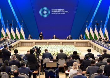 Uzbekistan to establish energy investors council led by Saida Mirziyoyeva