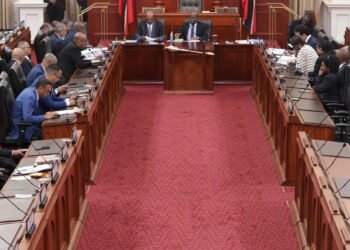 Age-limit Bill passes 15-12; Govt gets no outside support