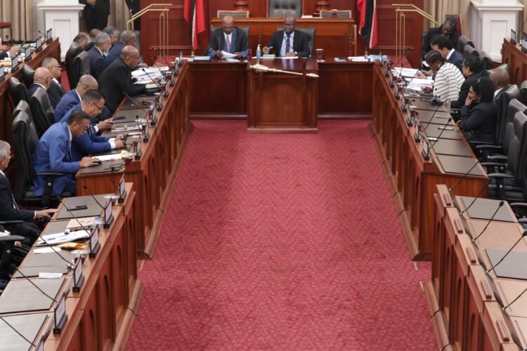 Age-limit Bill passes 15-12; Govt gets no outside support
