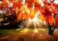 San Marino. Weather: early October full of sunshine and pleasant temperatures