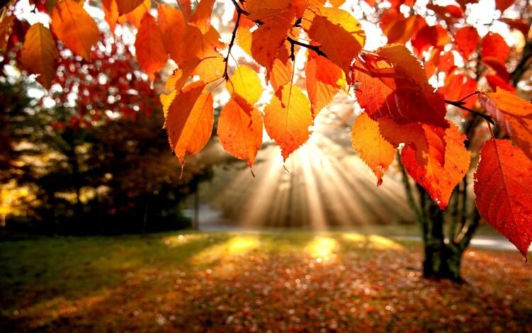 San Marino. Weather: early October full of sunshine and pleasant temperatures