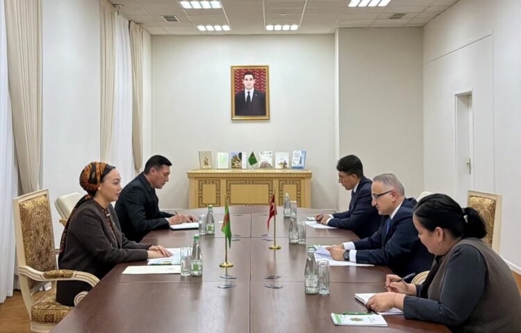 Turkmenistan, Türkiye discuss expanding economic cooperation