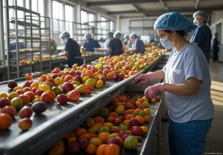 Russia leads Azerbaijan’s fruit, vegetable exports with 83.1% in 8 months
