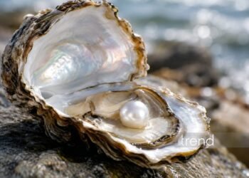 Azerbaijan adopts pearl standard to improve market transparency