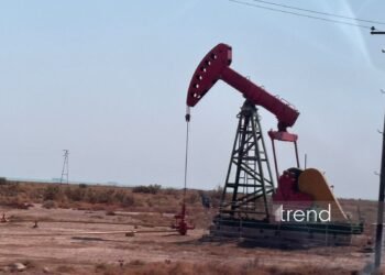 Azerbaijan’s petroleum coke export revenue nearly doubles in nine months