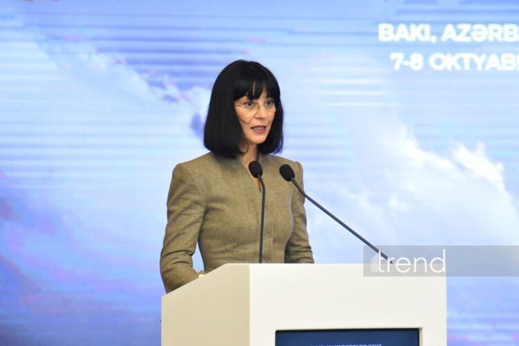 Missing persons cases among painful humanitarian issues – Georgian minister