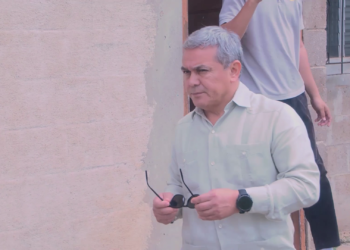 Why Did No Cabinet Minister Call for Rosado’s Removal?