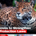 Belize Moves to Strengthen Wildlife Protection Laws
