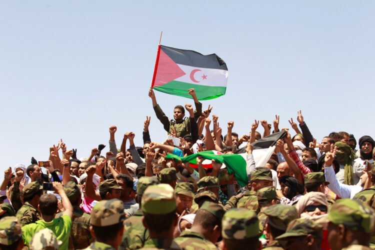 “International Crises” warns Washington against overstepping the Polisario and imposing self-rule