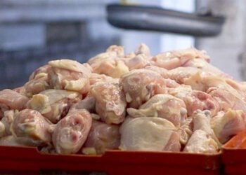 Thwarting the marketing of spoiled chicken in Bouira – Al-Shorouk Online