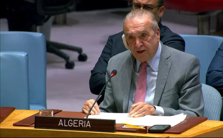 What did Benjameh say before the Security Council regarding Western Sahara? – Al-Shorouk Online