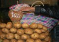 The Ministry of Internal Trade is studying the mechanism for daily monitoring prices – Al-Shorouk Online