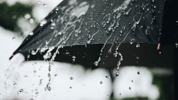 New bulletin: Heavy thunderstorms reaching 40 mm across these states – Al-Shorouk Online