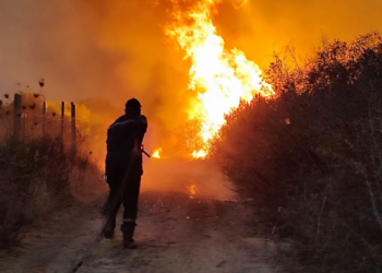 Confessions, blackmail, and money.. This is how the plan to burn forests in Algeria was revealed – Al-Shorouk Online