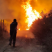 Confessions, blackmail, and money.. This is how the plan to burn forests in Algeria was revealed – Al-Shorouk Online