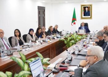 Ajal stresses respect for the implementation deadlines of the New Energy Agency’s roadmap – Al-Shorouk Online