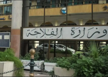 These importers are required to disclose inventory and prices in dollars! – Al-Shorouk Online