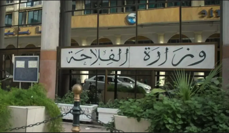 These importers are required to disclose inventory and prices in dollars! – Al-Shorouk Online